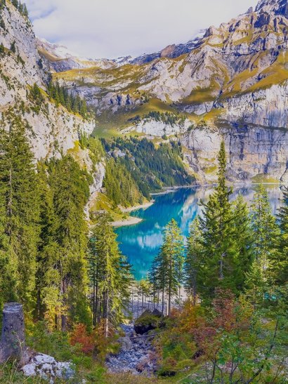 alpes suizos naturaleza